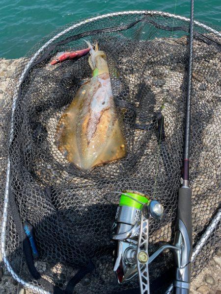やっと天気回復