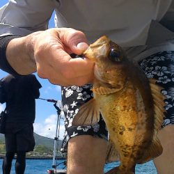 青海島で五目釣り