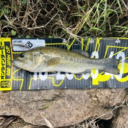 アフターですか⁇💦