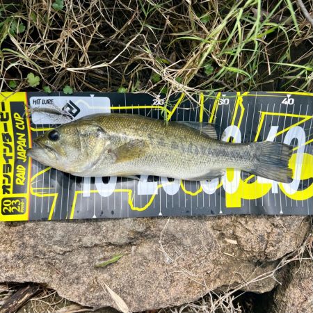 アフターですか⁇💦