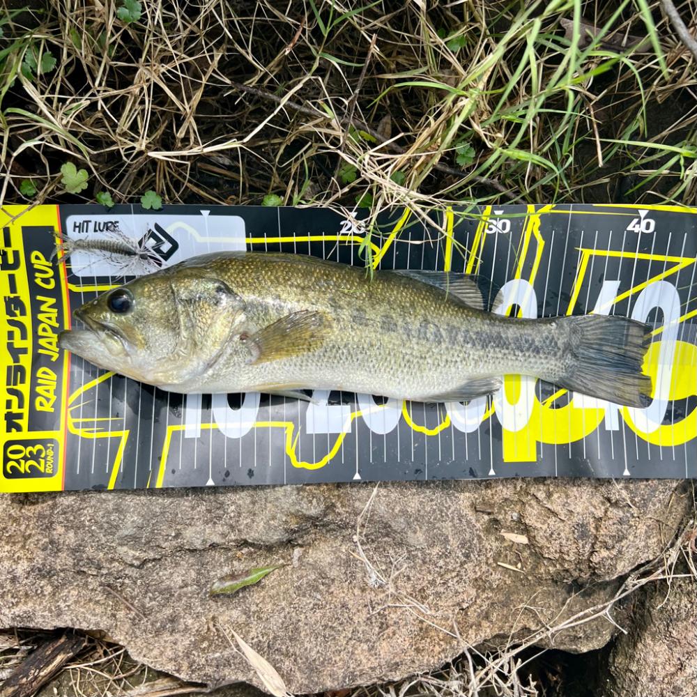 アフターですか⁇💦