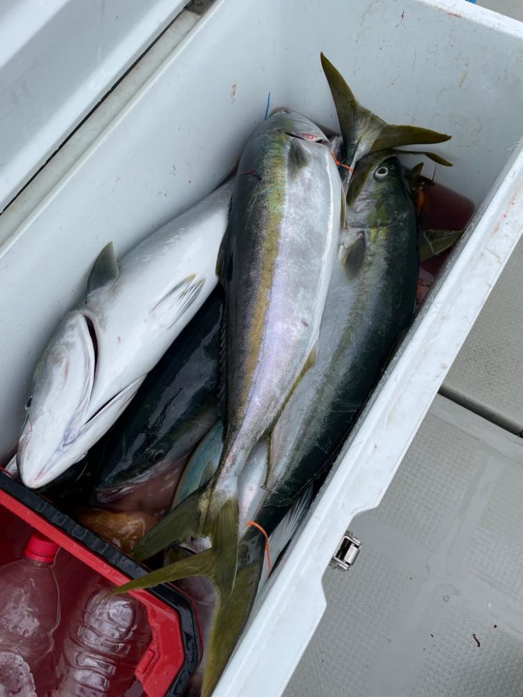 丹後沖　タラジギング　SLJ  ブリキャスティング