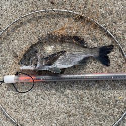 波止フカセ 実際は 二桁