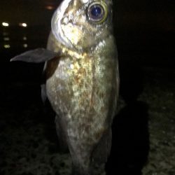 フロートメバリング