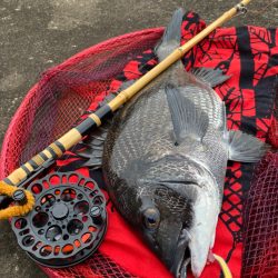 ヘチってきました