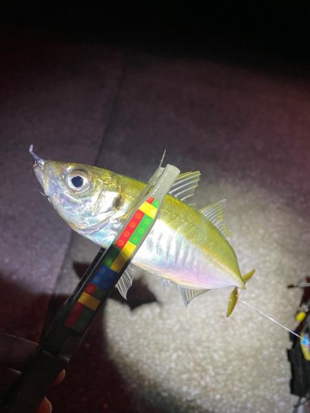 ちょい渋でした