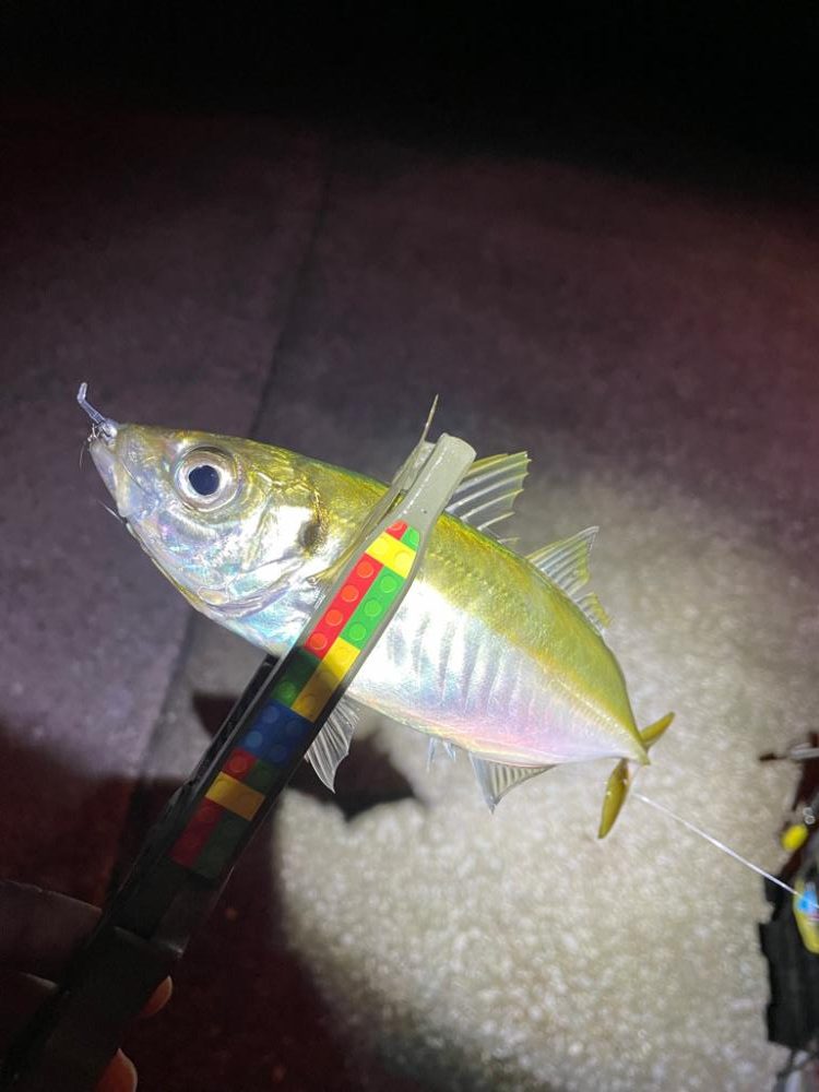 ちょい渋でした