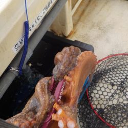 タコ釣り2〜盛和丸〜
