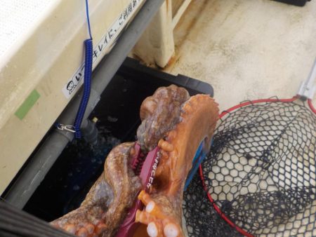 タコ釣り2〜盛和丸〜