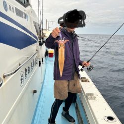 ケンサキイカ！