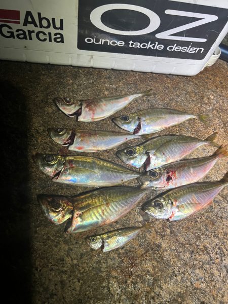 アジングランガン