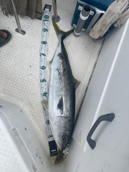 雨のマイボート釣行