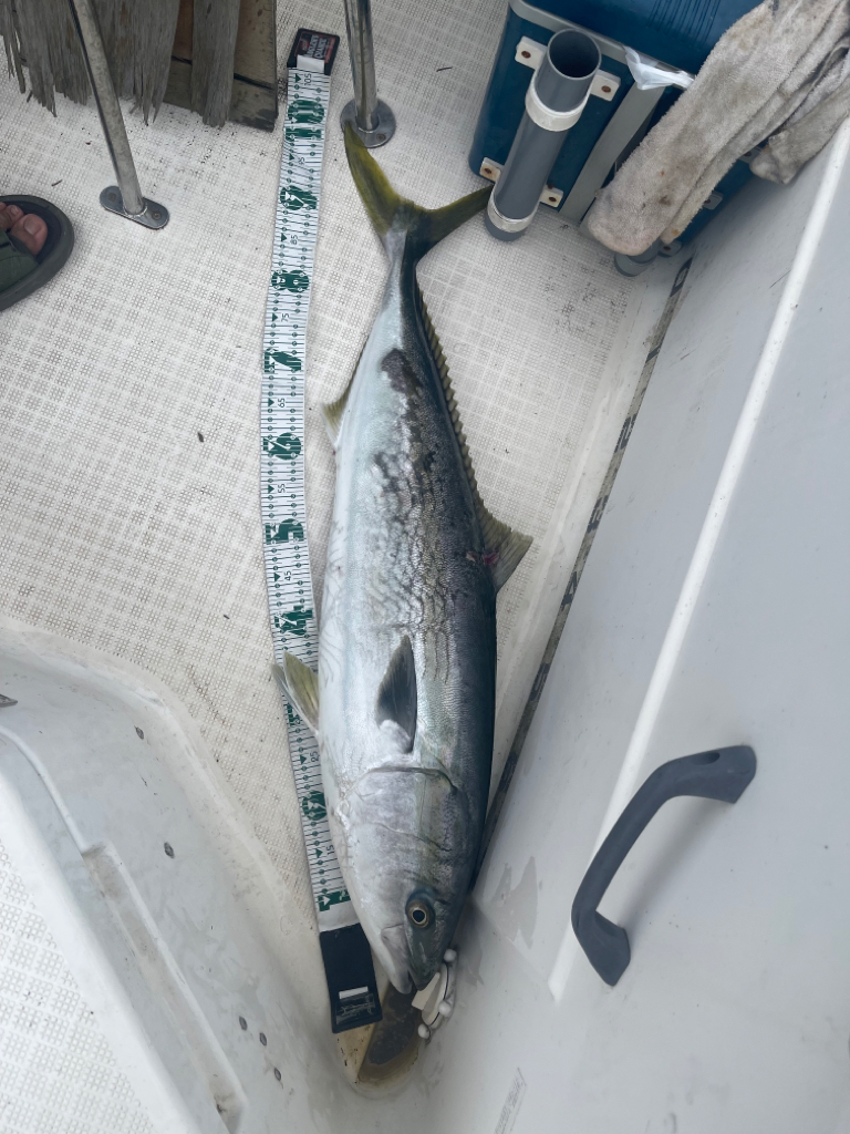 雨のマイボート釣行