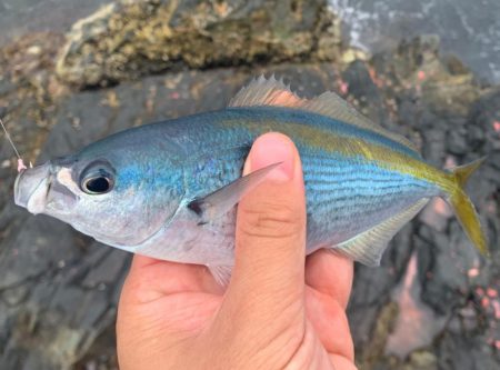 塩焼き美味しいやつ