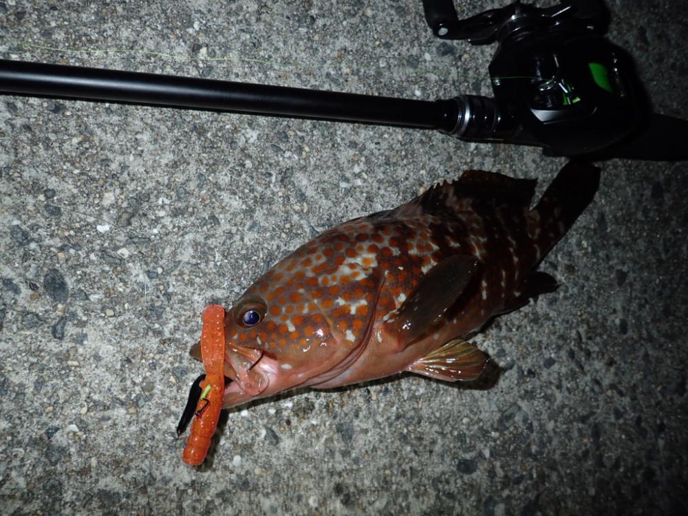 フリーリグでウィード攻略。