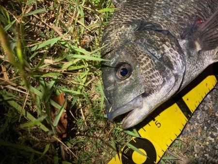 ライトルアーフィッシング