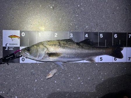 10時間釣行…笑