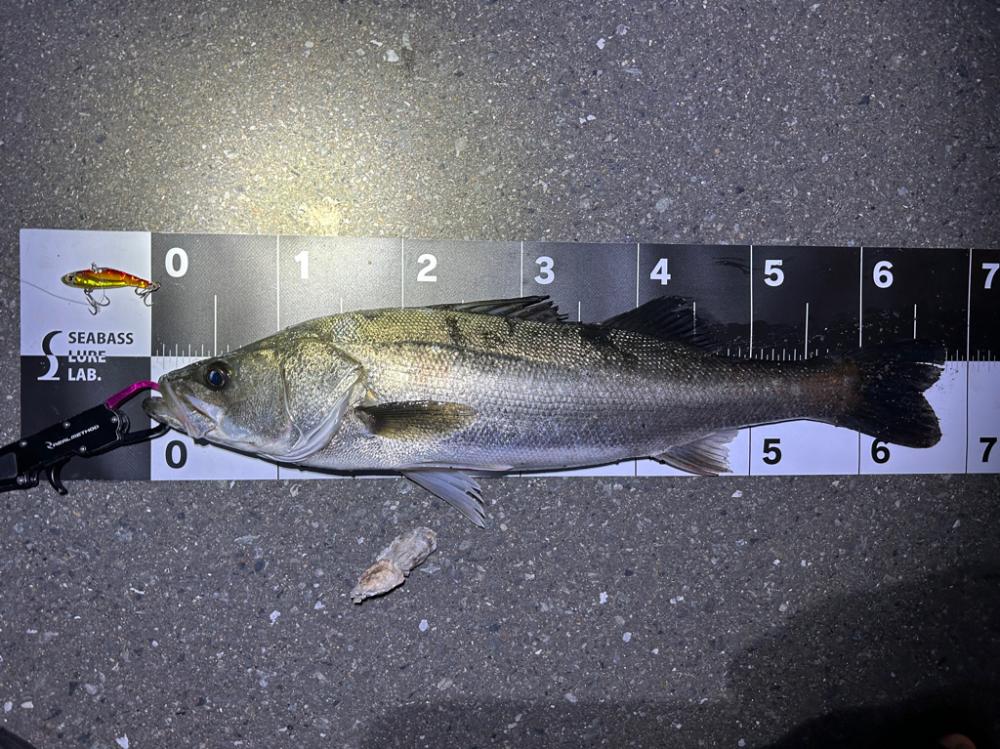 10時間釣行…笑