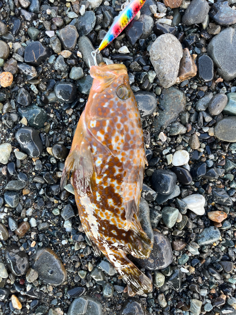 信じるか信じないかは、あなたしだい