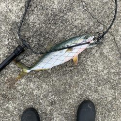 なんとか一本！