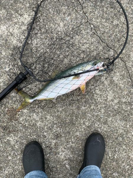 なんとか一本！