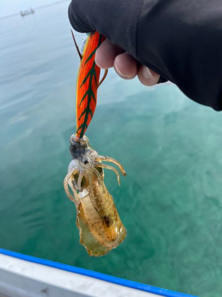 ボートエギング