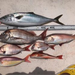 6/27 伊島沖タイラバ&ジギング…