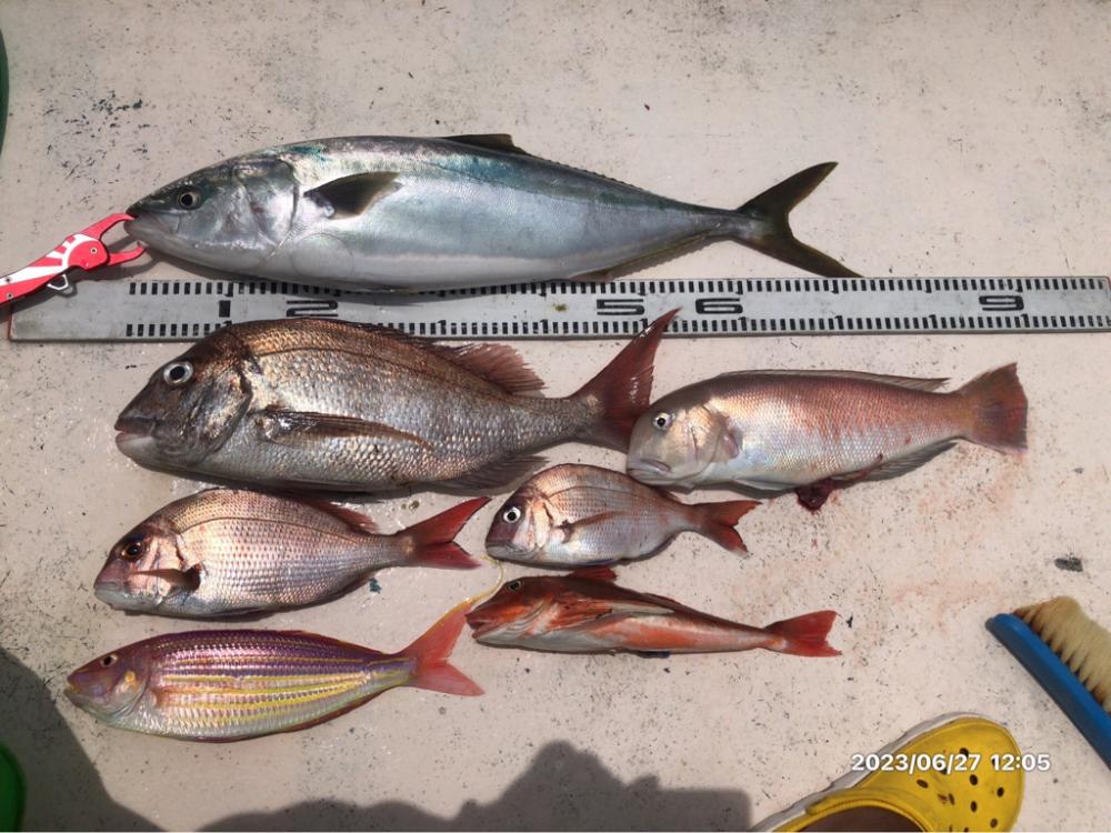 6/27 伊島沖タイラバ&ジギング