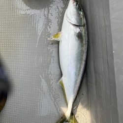 初オフショアジギング