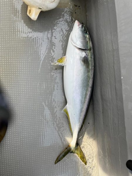 初オフショアジギング