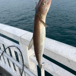 やはり友は裏切らない