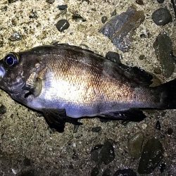 フロートメバリング