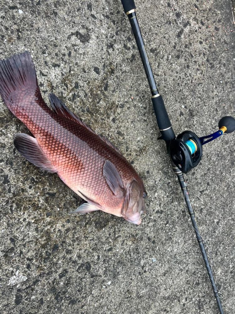 炎天下の中の化け物狙い