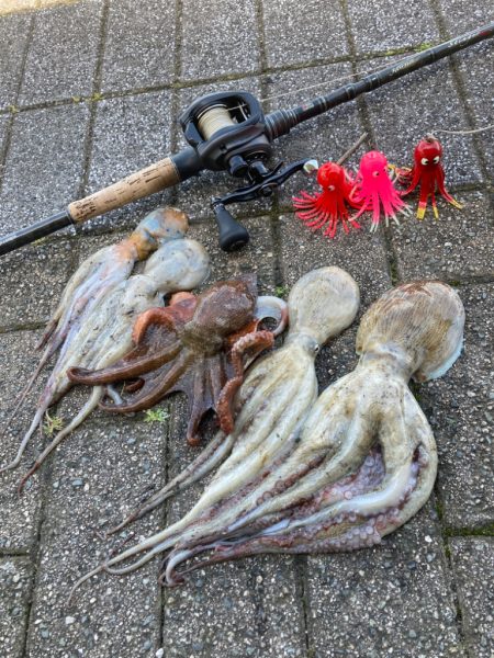 ライバル多過ぎな中。何とか5蛸。。