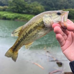 初フィールド⚡️…