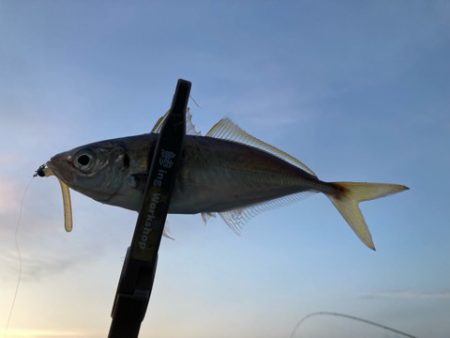 そろそろ抜けかけてる？