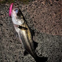 完璧なバイト！！