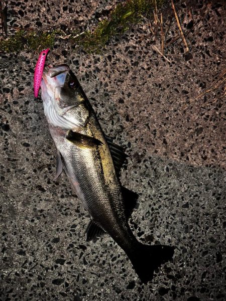 完璧なバイト！！