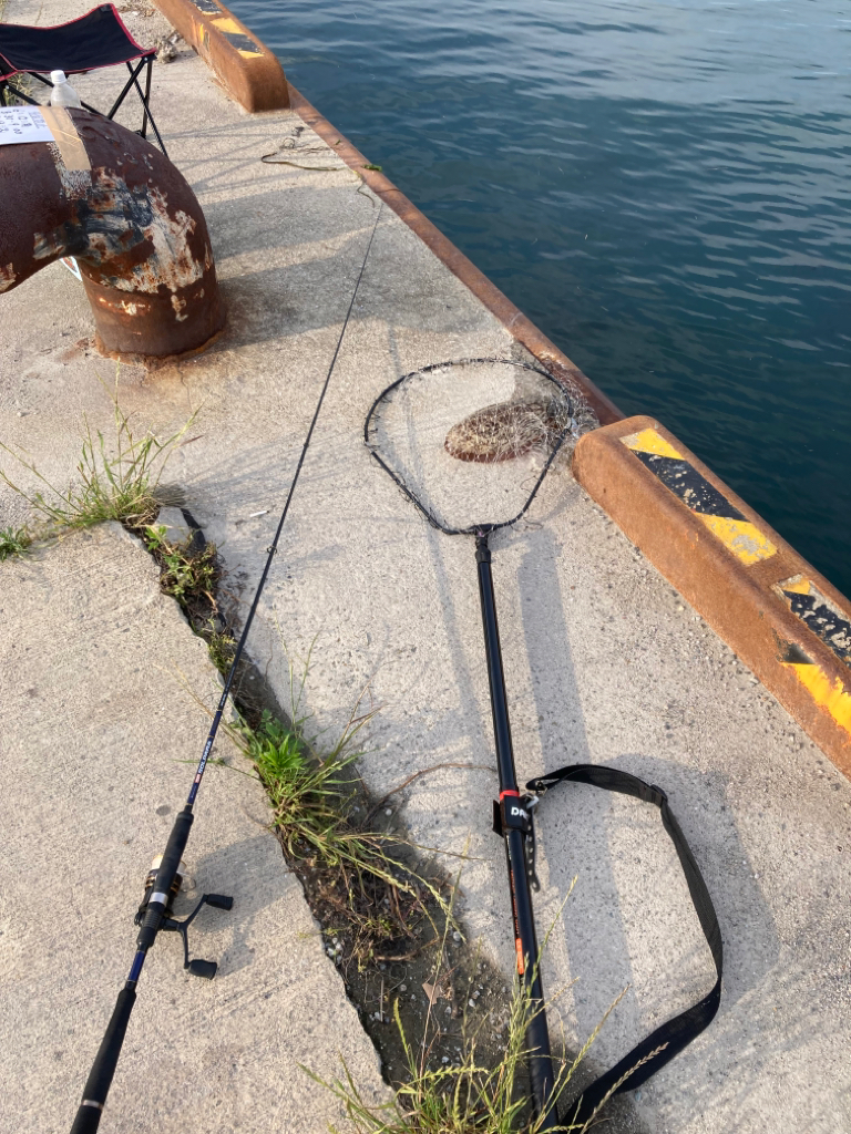 今年初めての獲物!一昨日のリベンジ。