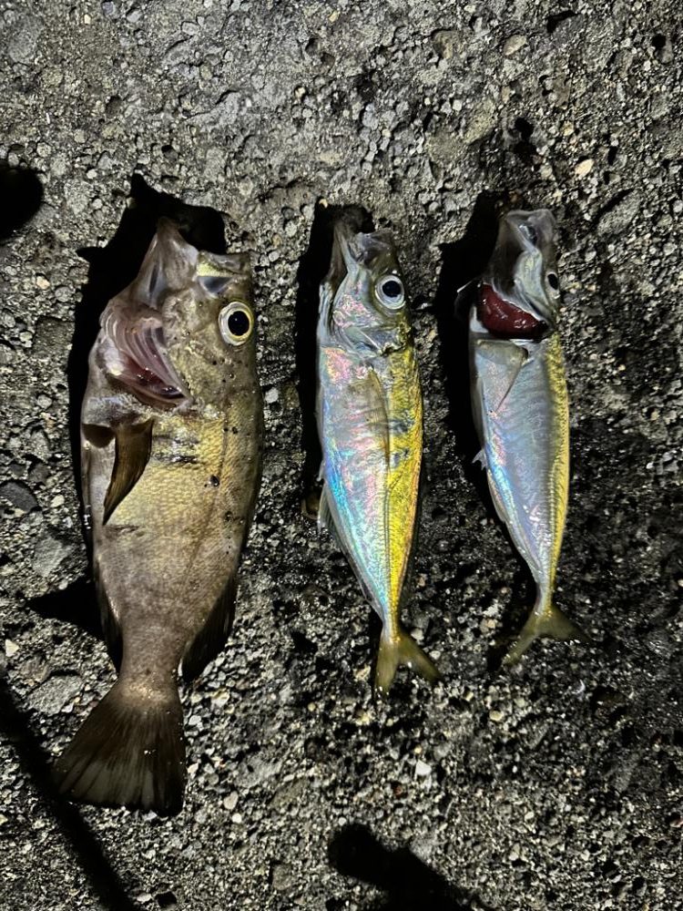 久しぶりのフロートゲーム