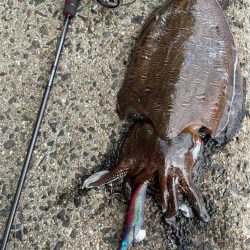 初キロアップ〜