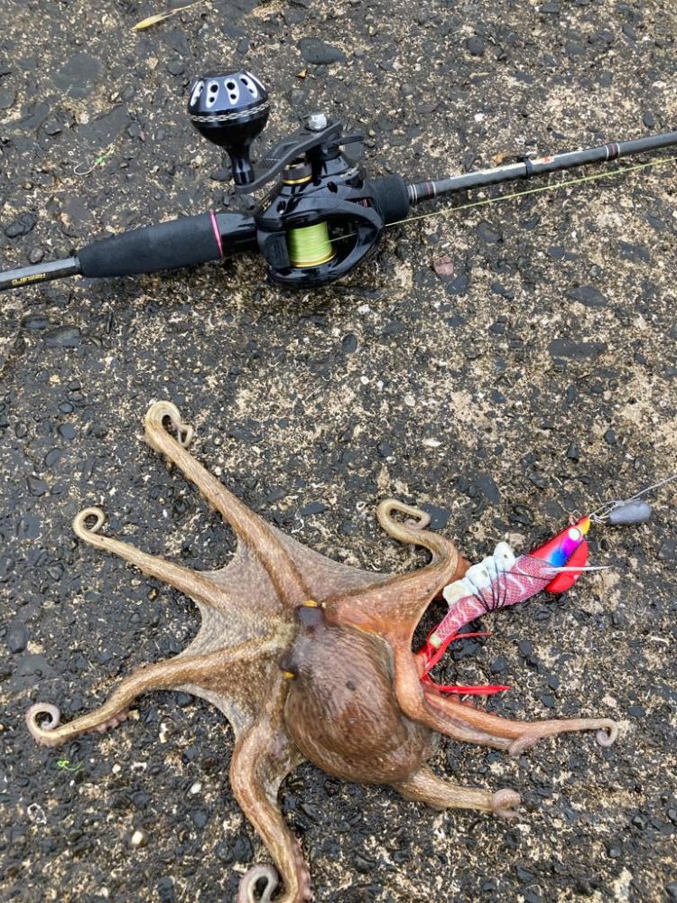 ⭐︎心地よいかをり