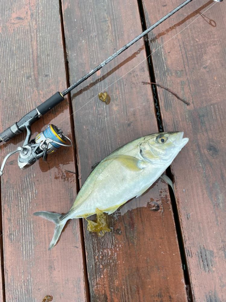 じゃのひれフィッシングパークさんにて