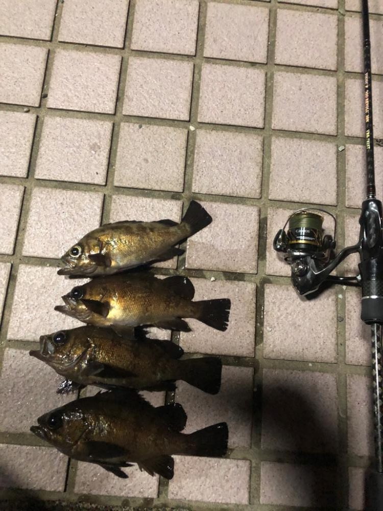 メバリング3days最終日