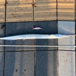 ヘビーミノーすげえ