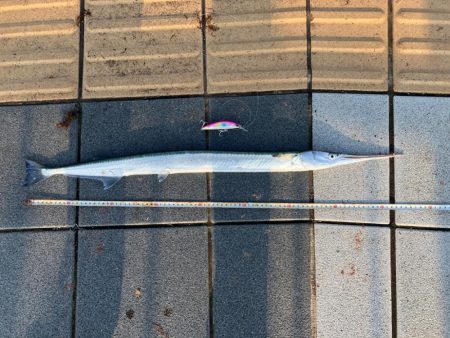 ヘビーミノーすげえ