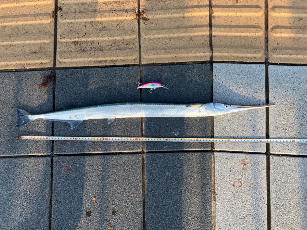 ヘビーミノーすげえ