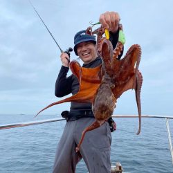 室津の夏フグ&タコ