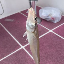 短時間キス→アジ