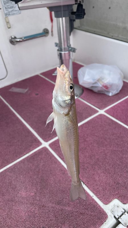 短時間キス→アジ